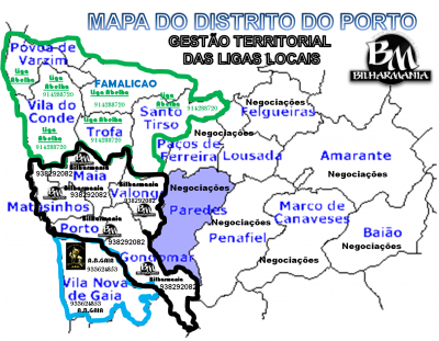 Cartaz distrital Porto.png